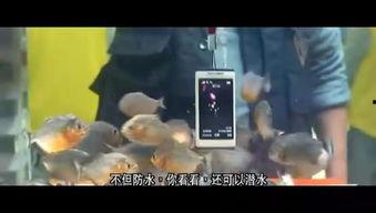 爱的放色手机在线观看,手机在线观看，情感纠葛的视觉盛宴