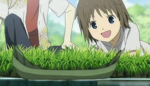 萤火之森 在线观看,穿越时空的浪漫邂逅