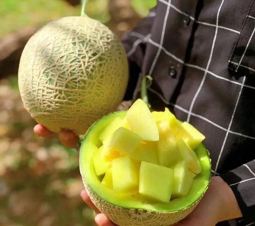 娱乐吃瓜推荐,明星们的幕后故事与吃瓜指南