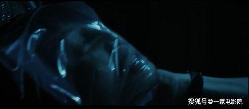 人面鱼在线观看,探寻神秘传说，揭秘水下奇遇