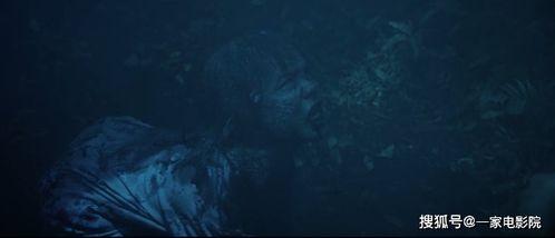 人面鱼在线观看,探寻神秘传说，揭秘水下奇遇