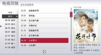 东方电视回放在线观看,重温经典，畅享视听盛宴