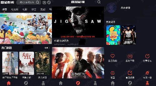 全网在线观看视频