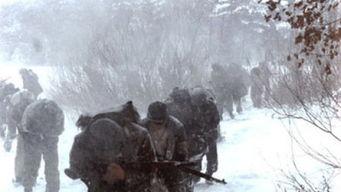 南部军电影在线观看,烽火岁月里的忠诚与抗争