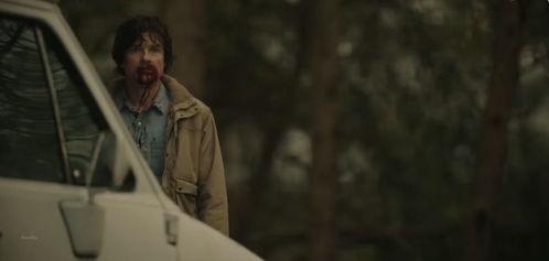 目击者美剧 在线观看,揭秘真实事件背后的惊人真相