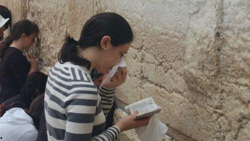 娱乐吃瓜君 网红是谁