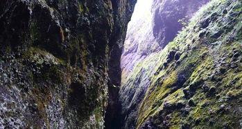 娱乐718吃瓜第一线天,揭秘“吃瓜第一线”幕后故事