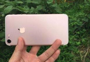 苹果高清完整版在线观看,沉浸式视觉盛宴，一网打尽精彩瞬间