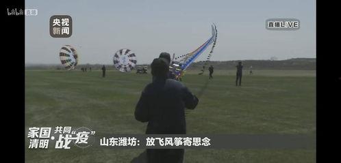 风筝在线观看 央视