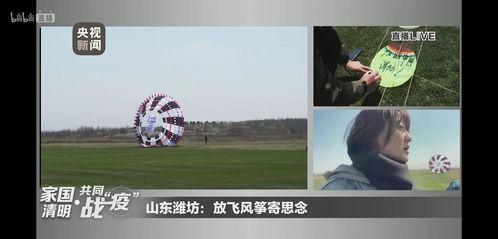 风筝在线观看 央视